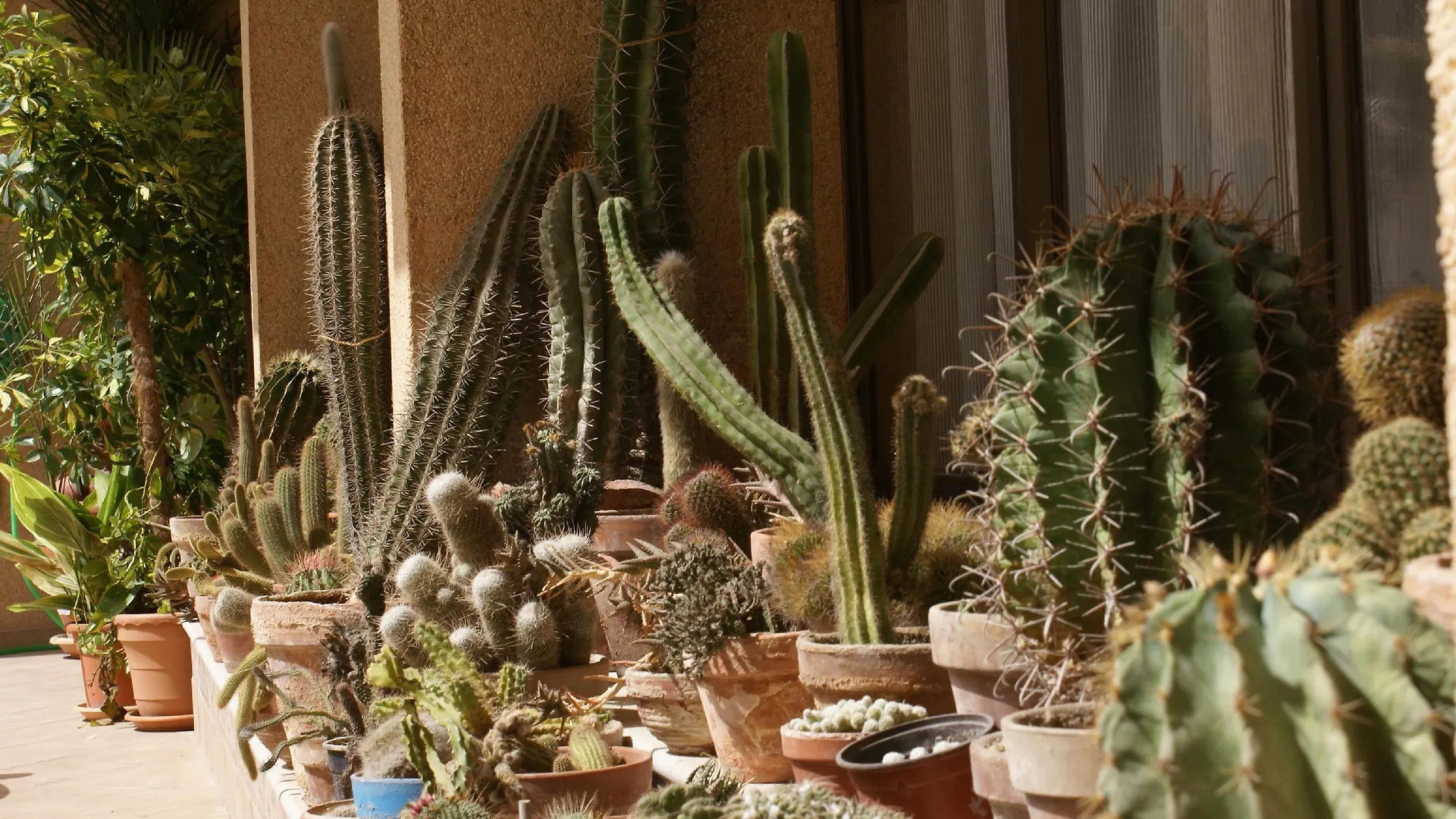 קן פסטייה Apartamentos Isla Del Sol